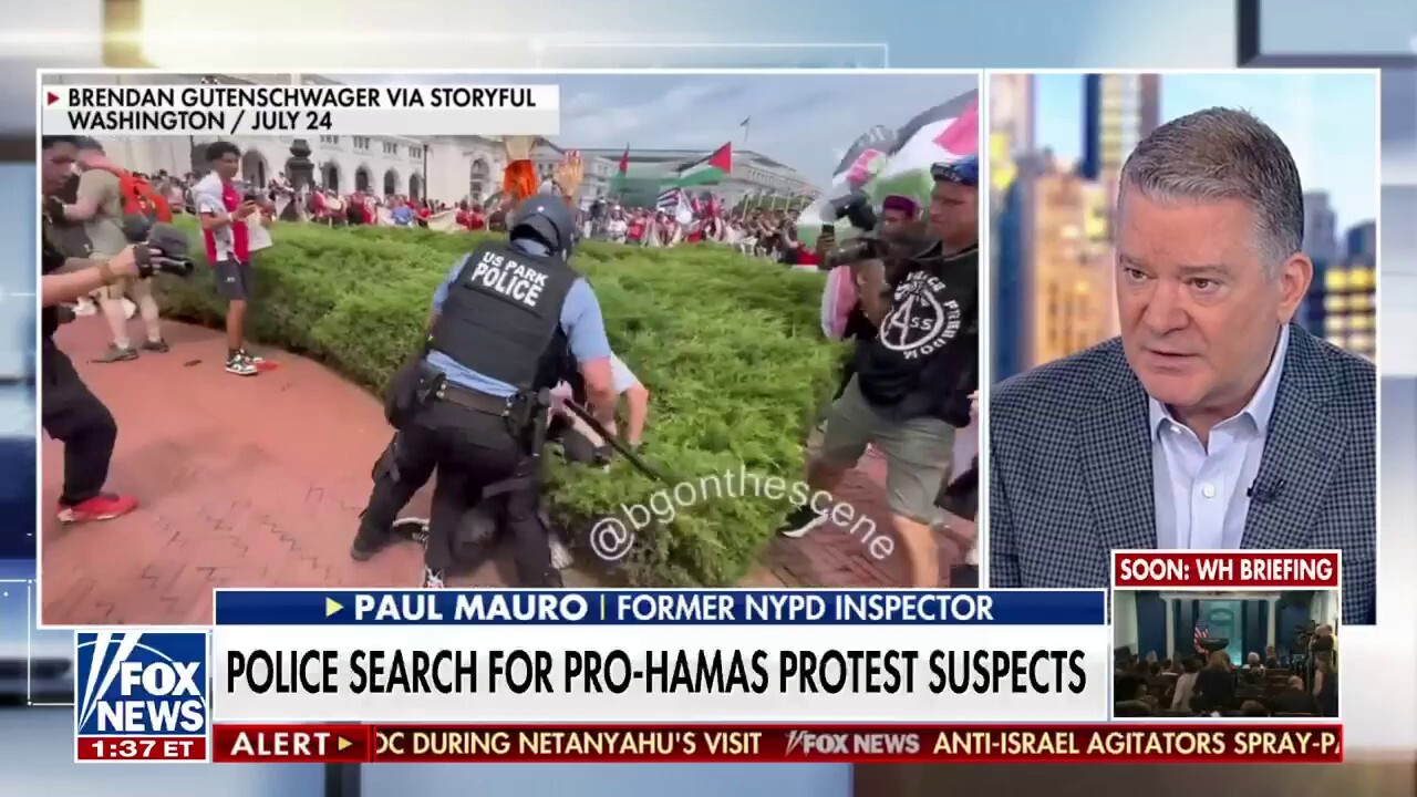 Paul Mauro: Democrats don’t want to crack down on pro-Hamas protesters and lose voters