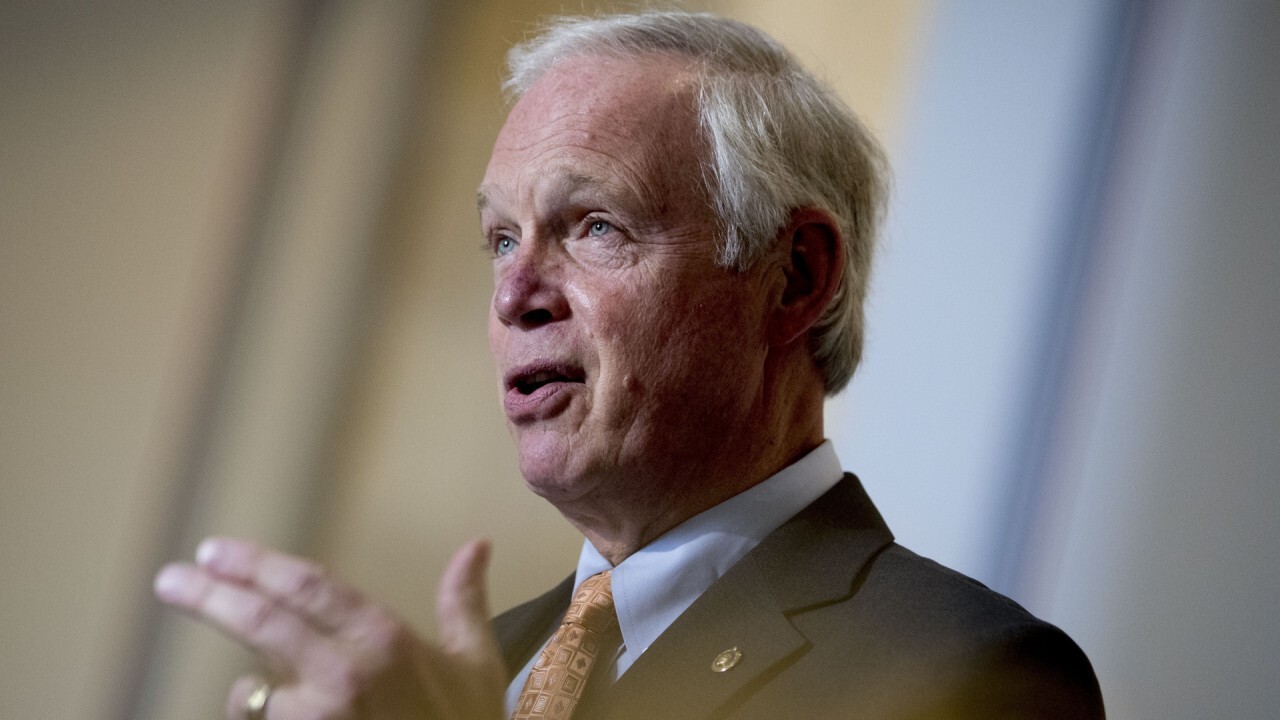 Ron Johnson says he is running for reelection because of 'destructive' Dem governance: 'I can't walk away'