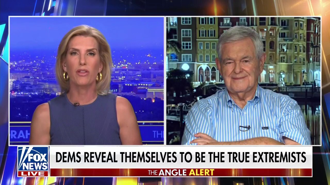 Newt Gingrich: We have never seen this level of desperation in American politics