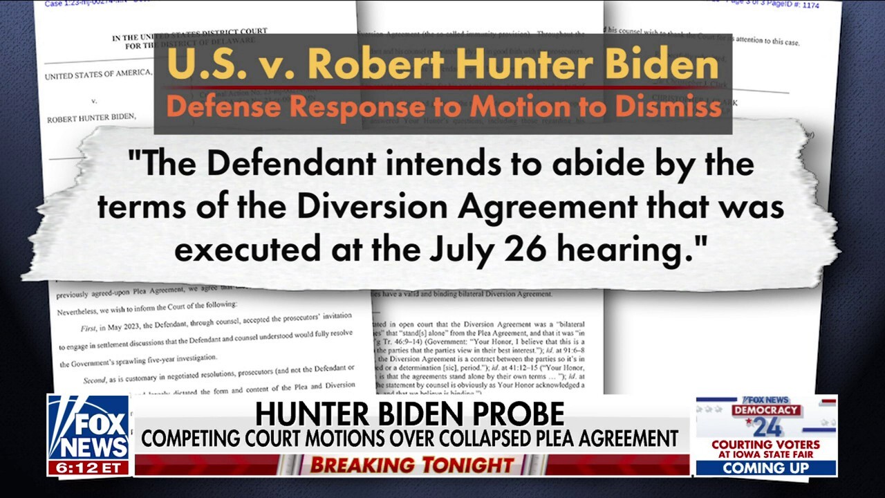  Hunter Biden plea deal faces scrutiny