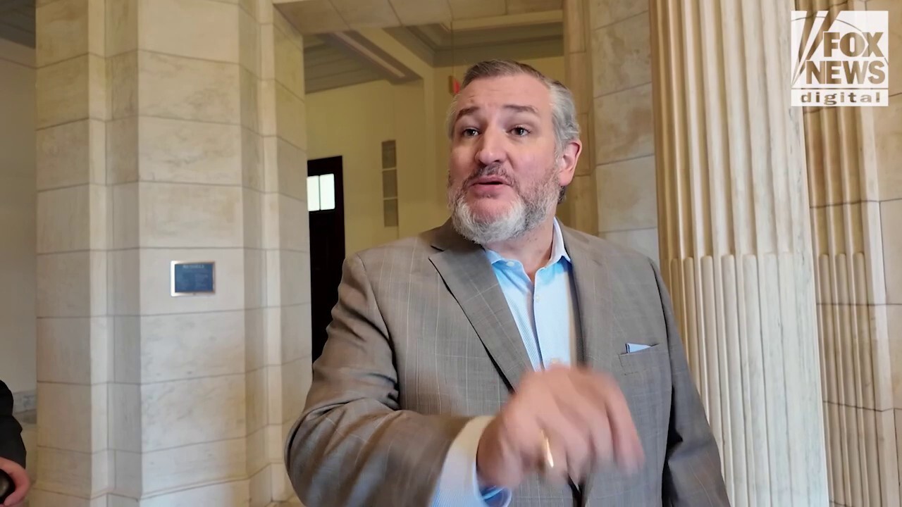 Ted Cruz mocks Democrats for advocating on behalf of illegal wife beating immigrant: ‘Crazy town’