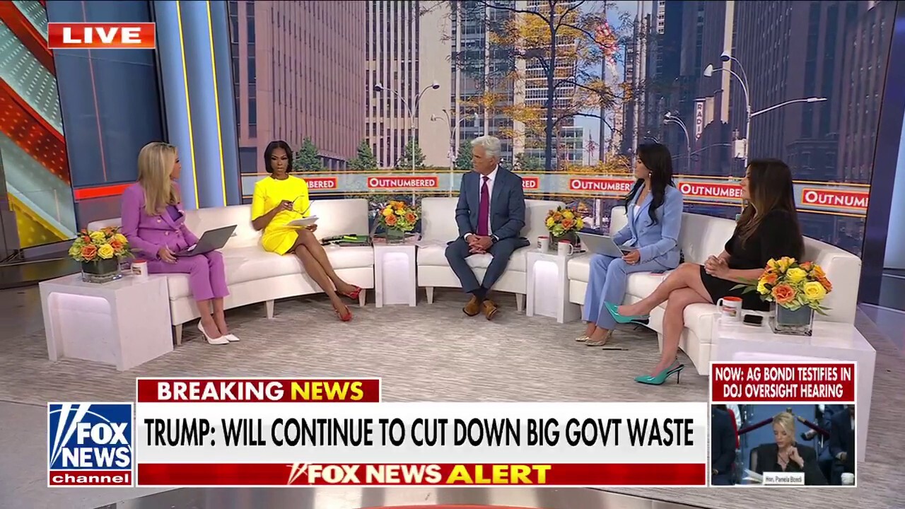 Kayleigh McEnany: Democrats are giving Trump Doge 2.0 'on a platter'