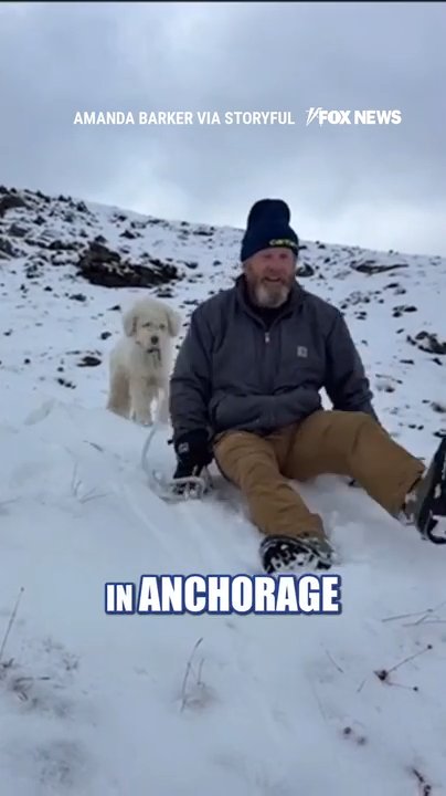 MIRACLE RESCUE: Dog REUNITED with family after Alaska avalanche