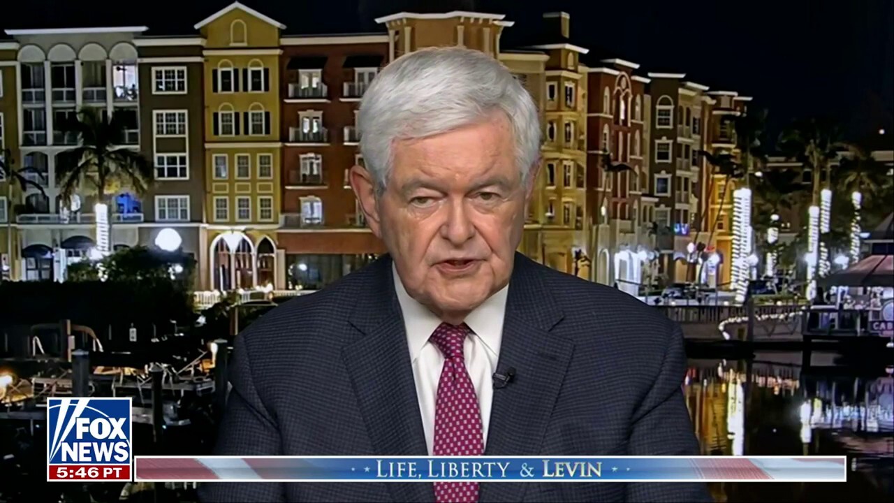 Newt Gingrich: The 'elite media' is trying to prop up Biden