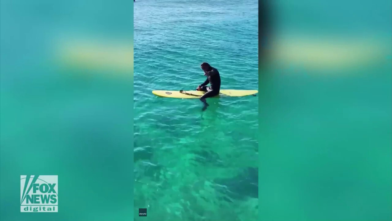 Surf’s up! Man takes pet snake for a ride on his surfboard