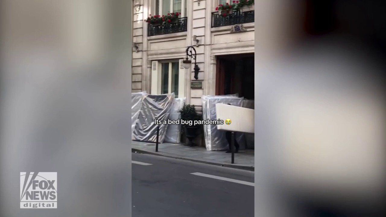 Paris street filled with mattresses amid bedbug outbreak