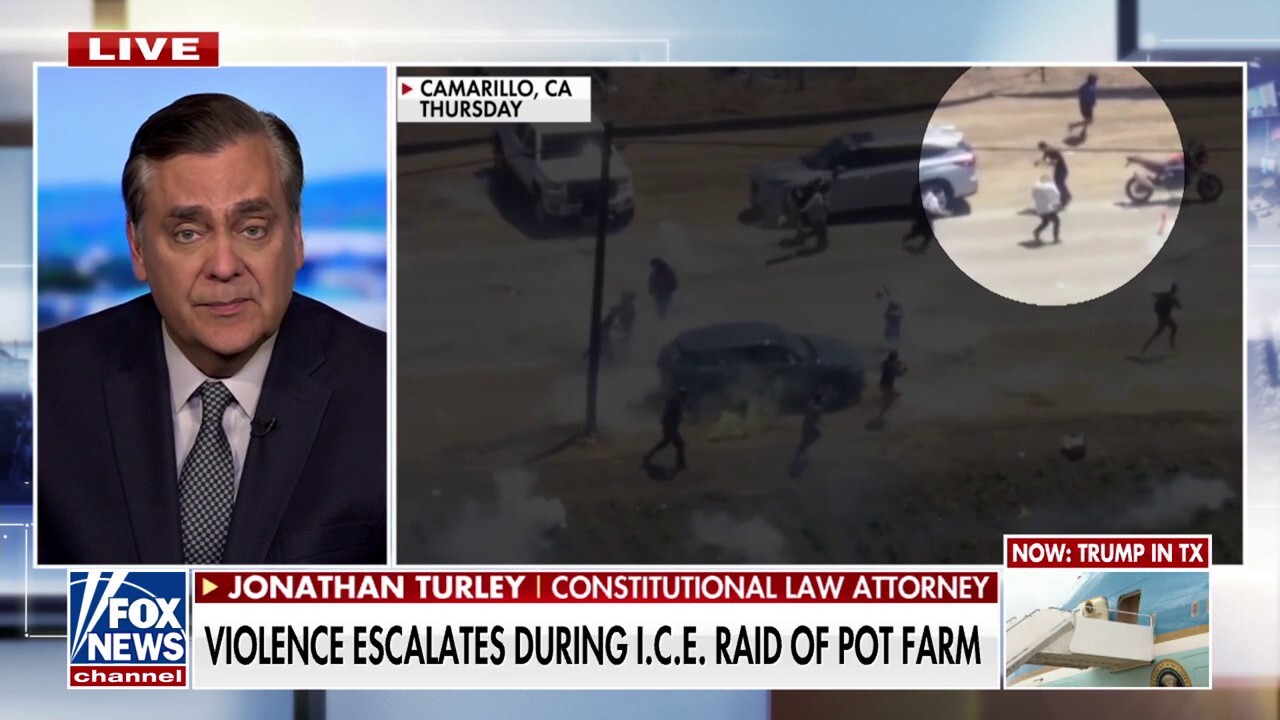 Jonathan Turley warns Democratic leaders are 'fueling the rage' on immigration
