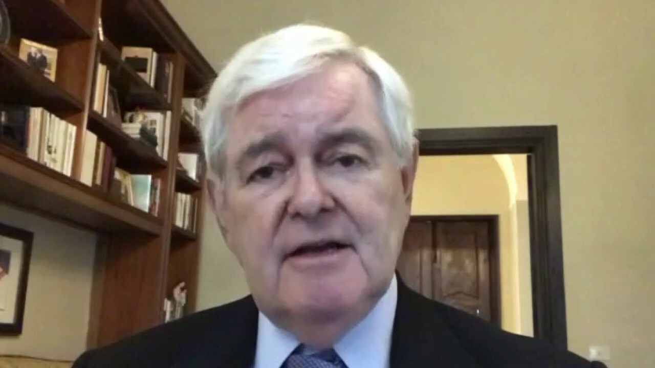 Newt Gingrich: Only one way to end left-wing 'revolutionary cycle' 