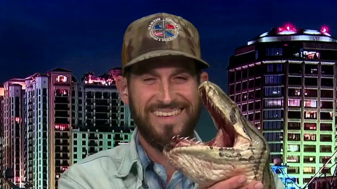 How the ‘Python Cowboy’ plans to solve Florida’s snake problem
