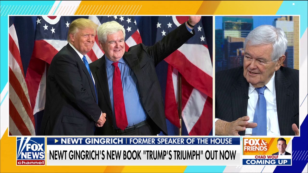 Newt Gingrich: Trump has personified that he is the future