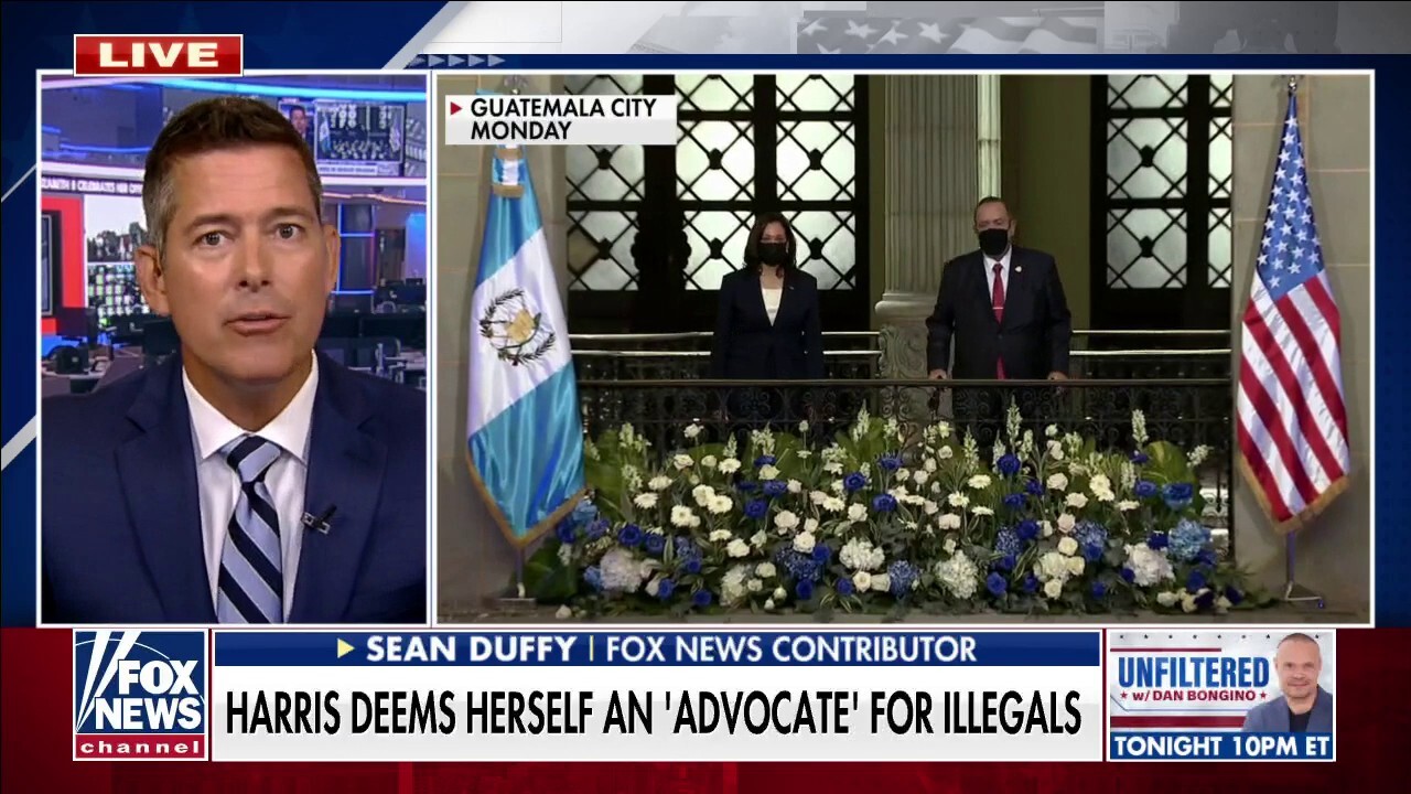 Harris ignores border crisis because she needs left-wing to help her win future primaries: Sean Duffy