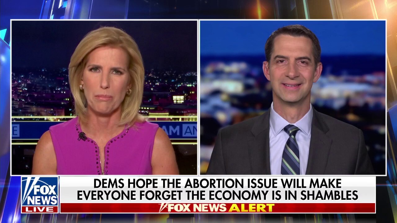Dems hope the abortion issue will make everyone forget the economy is in shambles