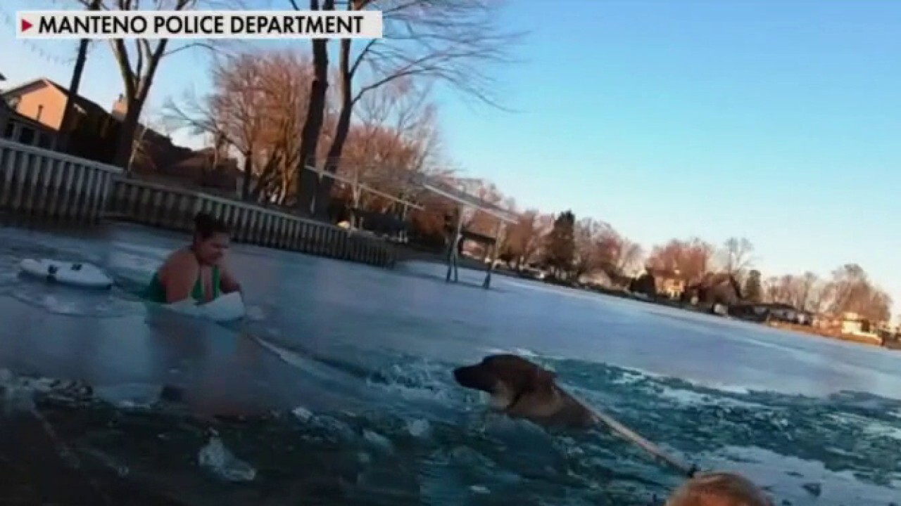 Good Samaritan recounts rescuing dog from icy lake