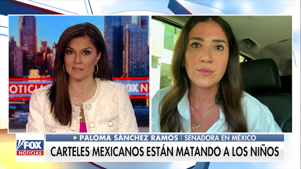 Senadora mexicana expone crisis de cárteles de la droga