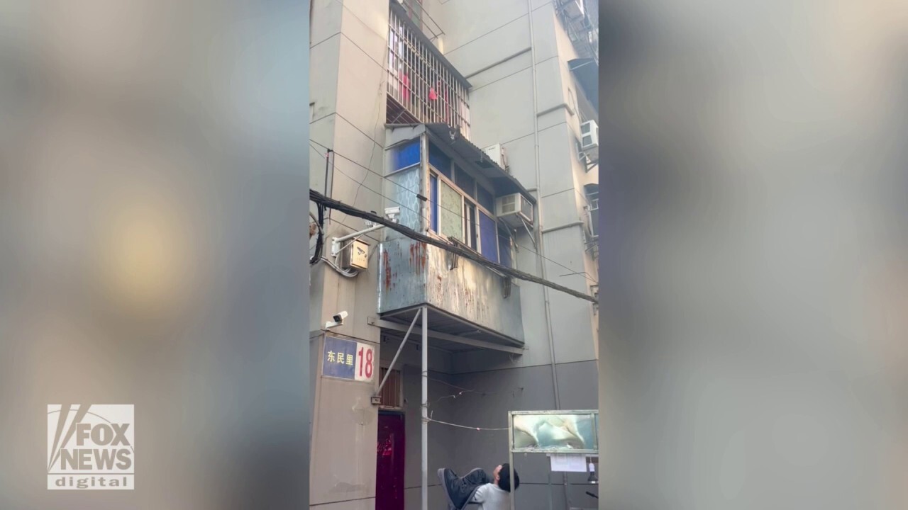 Dramatic rescue caught on video as man saves kitten hanging from building ledge