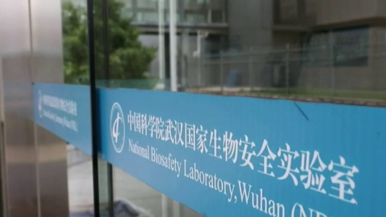 Internal documents shed light on Wuhan Lab discussions