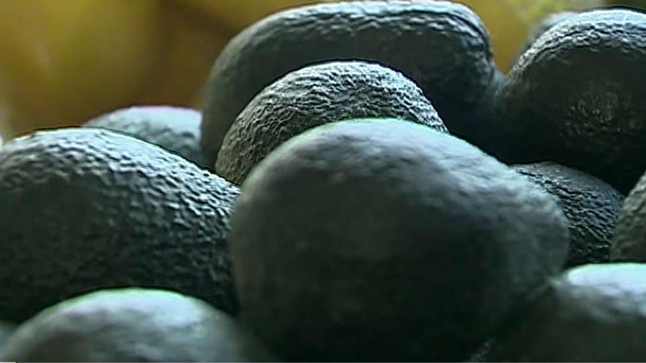 Avocado price spike reportedly forcing some eateries to use squash in their guacamole