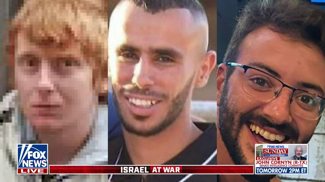 Hamas terrorists do not wear uniforms, Israeli hostages could have been ‘misidentified’: Mark Regev