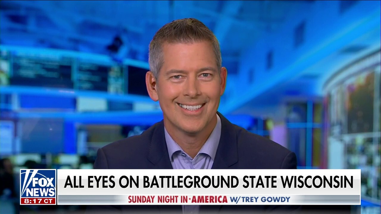 Wisconsin is now a purple state: Sean Duffy 