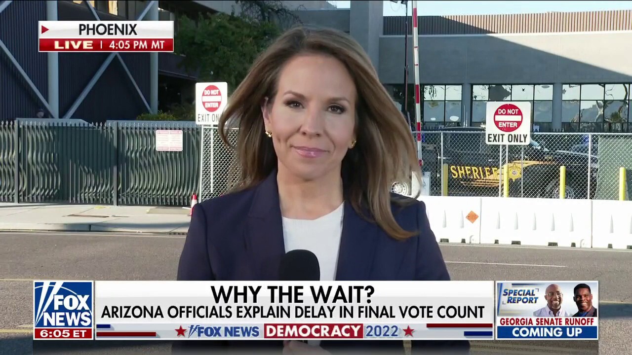 Arizona's law plays role in delay in counting votes