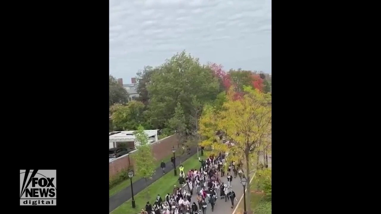 Pro-Palestinian Harvard students stage protest and 'die-in' on campus against Israel's 'genocide' in Gaza