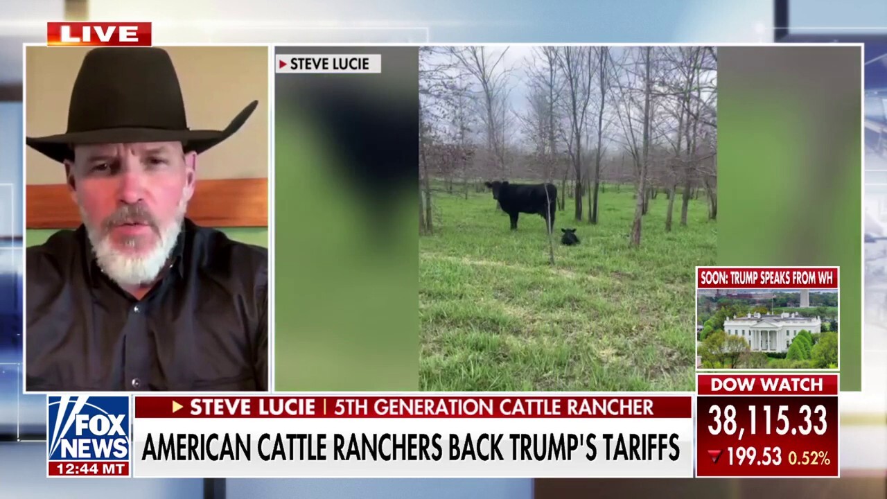 Fifth-generation cattle rancher Steve Lucie discusses the impact of tariffs on the cattle industry on 'America Reports.'