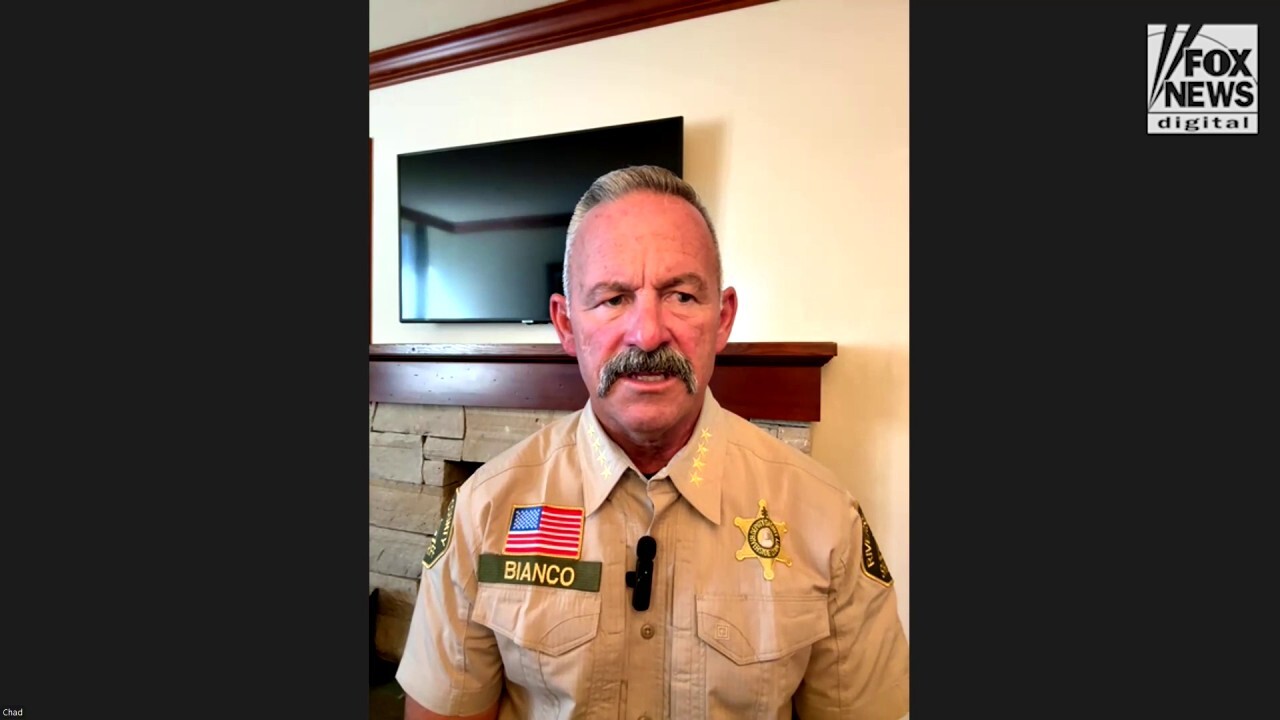 CA sheriff slams Gov. Newsom amid riots in LA