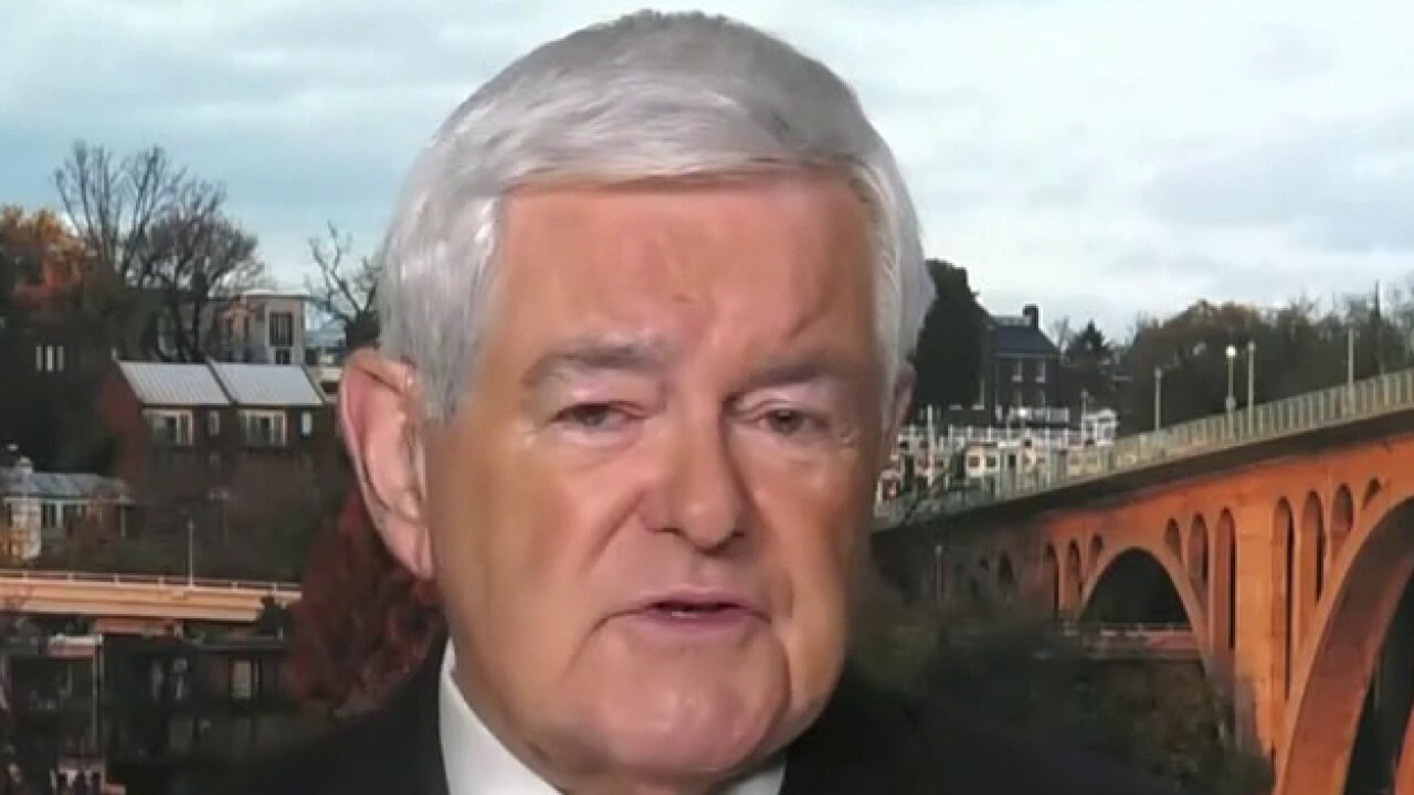 Gingrich: Maxine Waters is actively encouraging criminals with rhetoric
