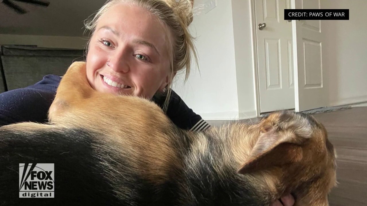 National Guard soldier welcomes home German shepherd rescued during deployment