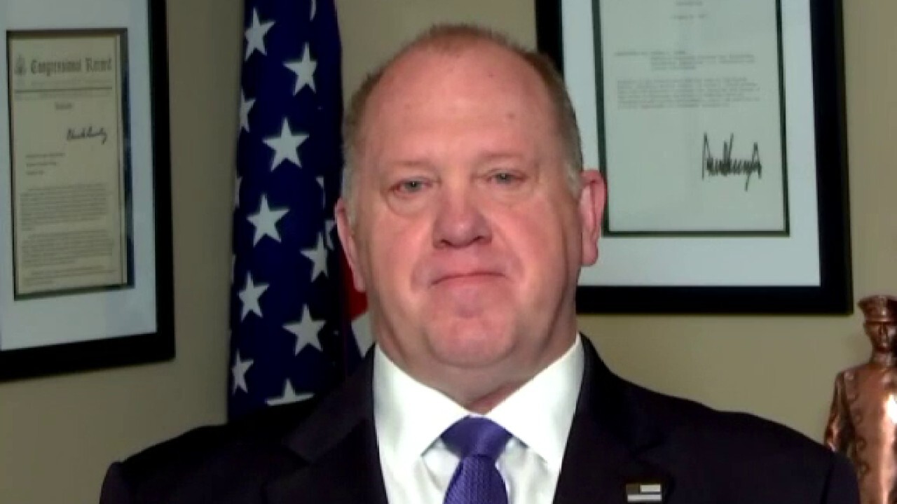 Tom Homan on new ICE guidelines limiting arrests and deportations