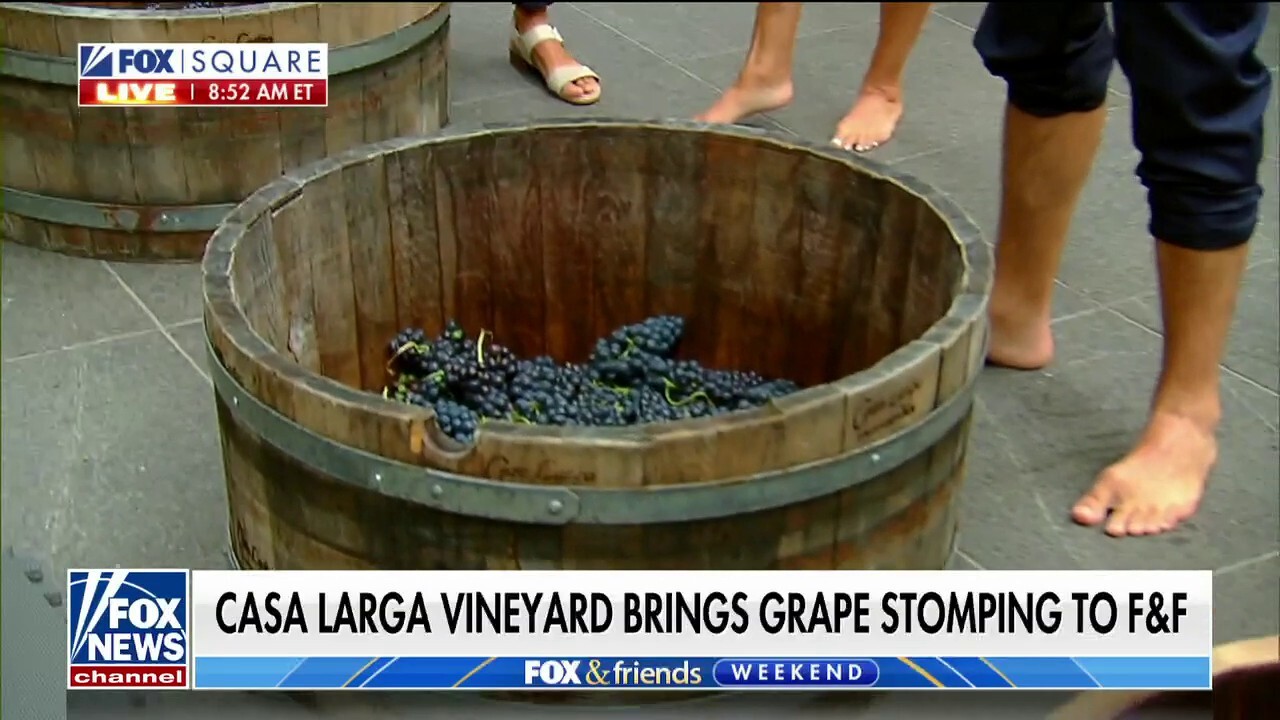 Grape-stomping tips and techniques to ring in National Red Wine Day