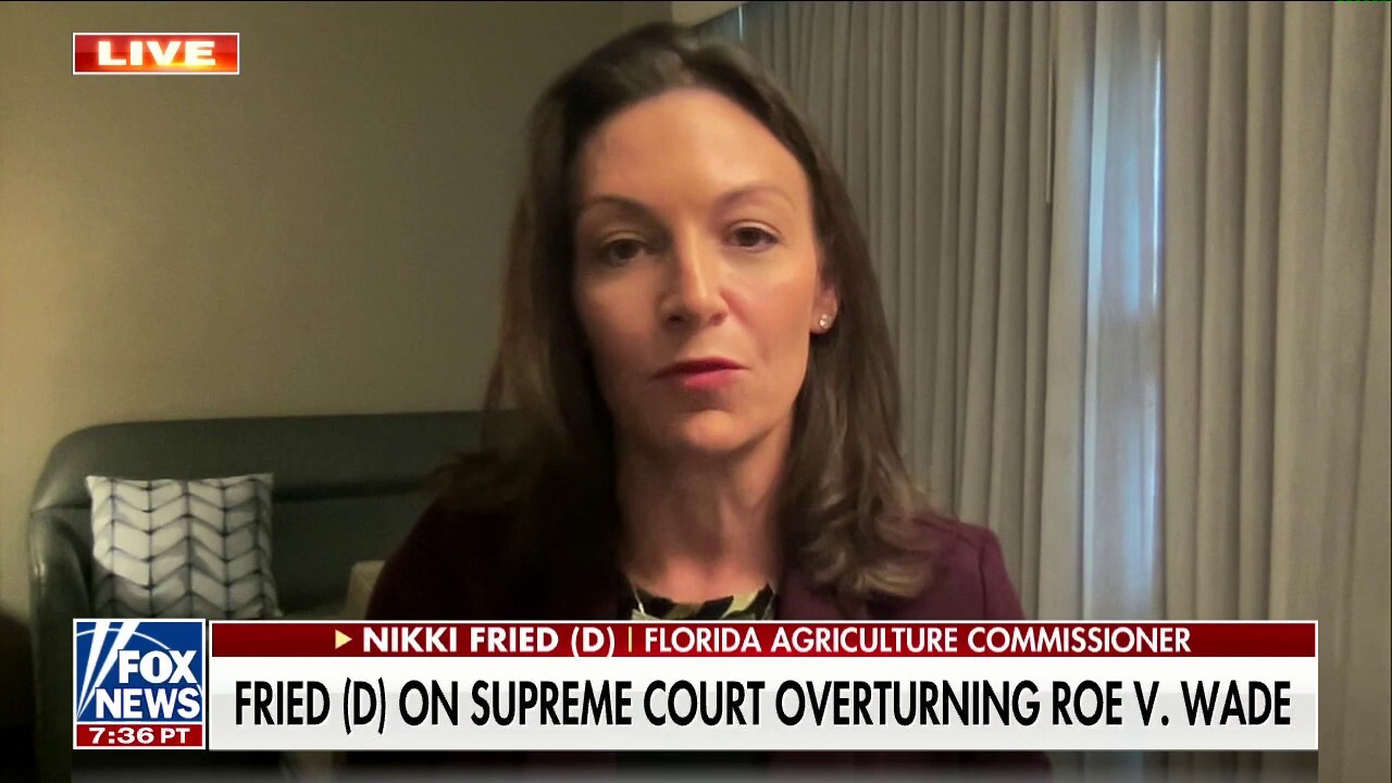 On abortion ruling, Florida gubernatorial candidate says ‘the power is back’ in the people’s hands