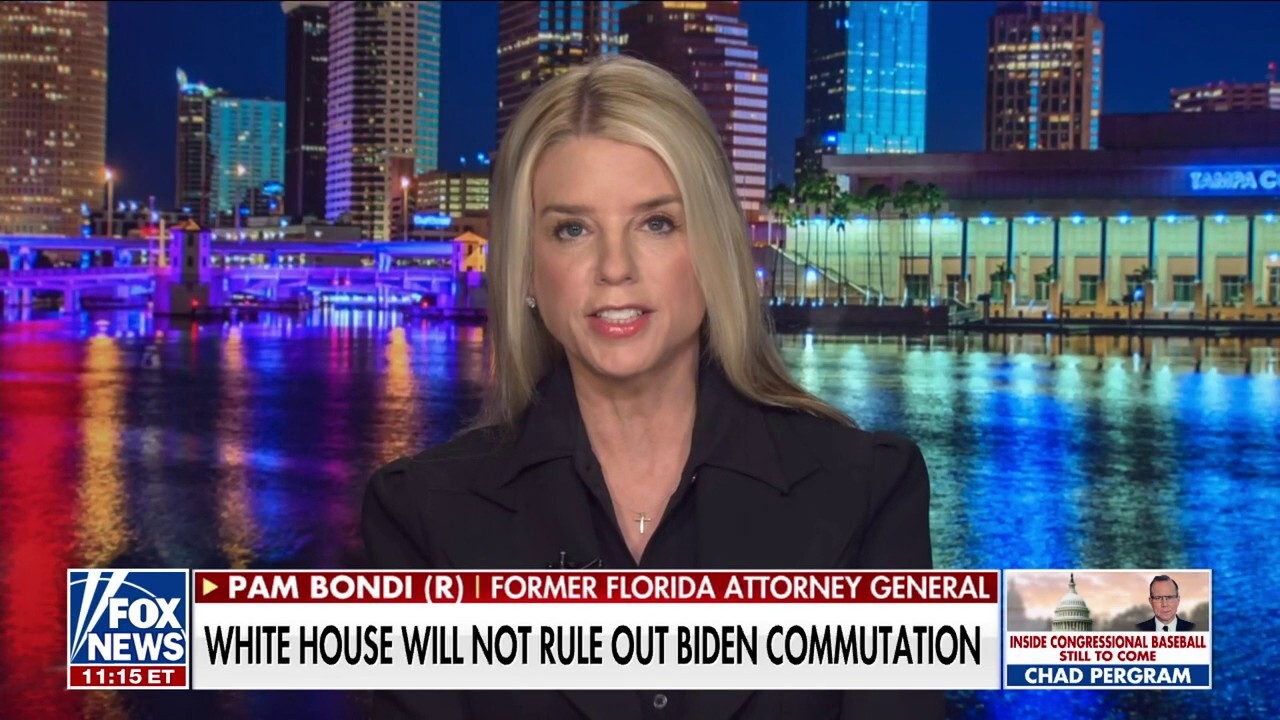 Hunter will never spend a day in jail based on Biden's statements: Pam Bondi