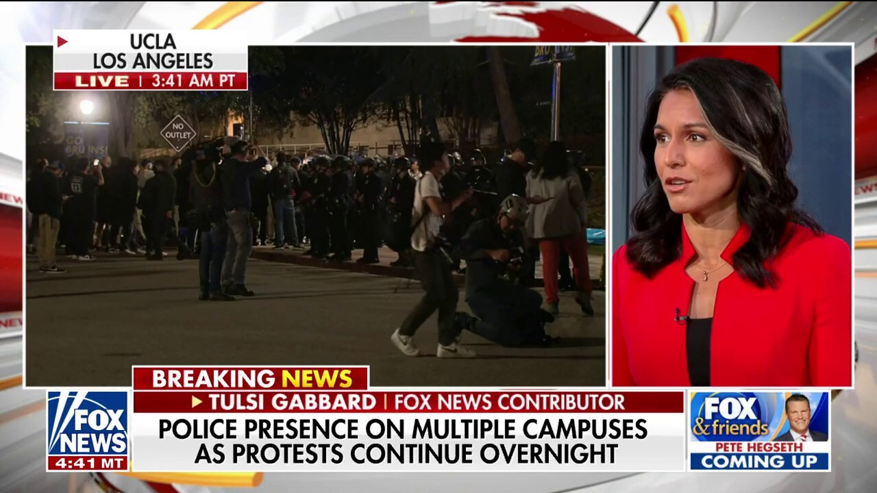 Tulsi Gabbard: 'Pro-Hamas calls' are the 'underlying issue' of the anti-Israel protests
