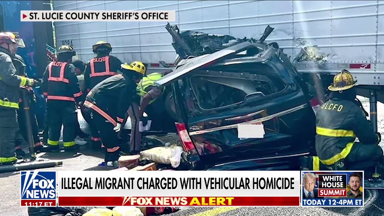 DETAILS: Illegal migrant trucker released on bond after deadly Florida crash