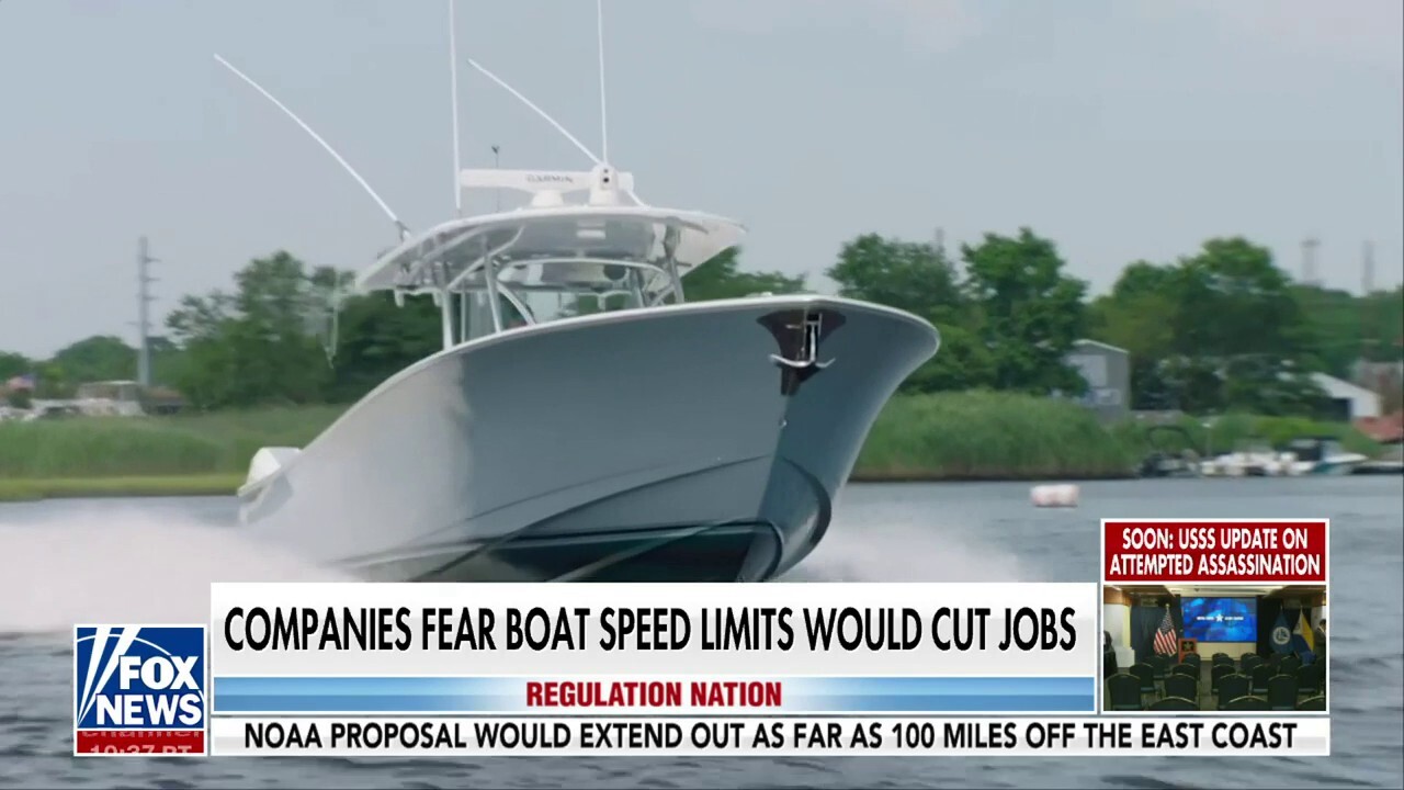 Biden administration could put speed limits on boats to protect whales