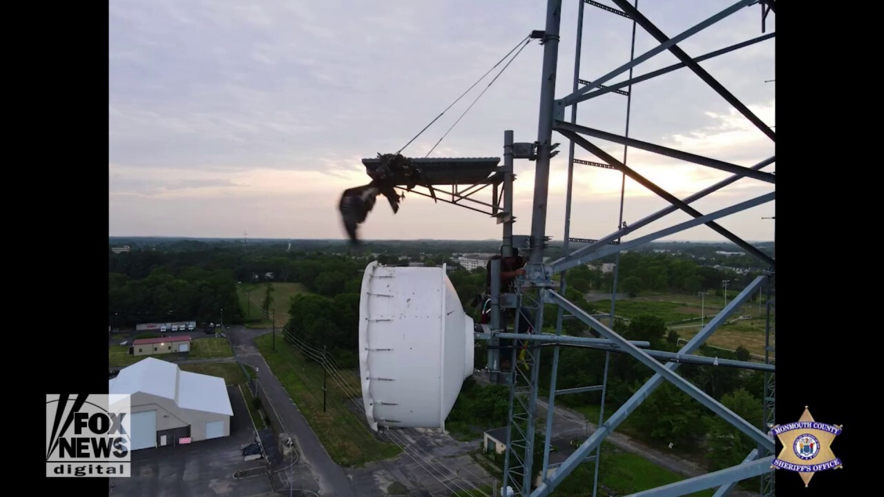 Bald eagle rescued from communications tower in New Jersey