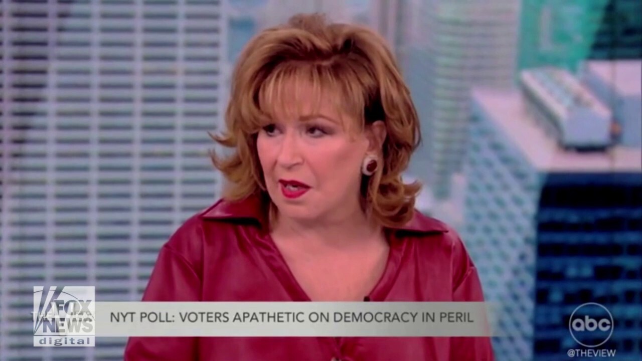 'The View' host Joy Behar says voters' focus on the economy ahead of the midterms is 'sad and depressing'