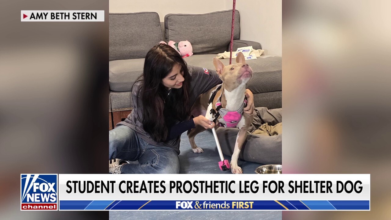 Teen robotics whiz creates 3D printed leg for special needs shelter dog