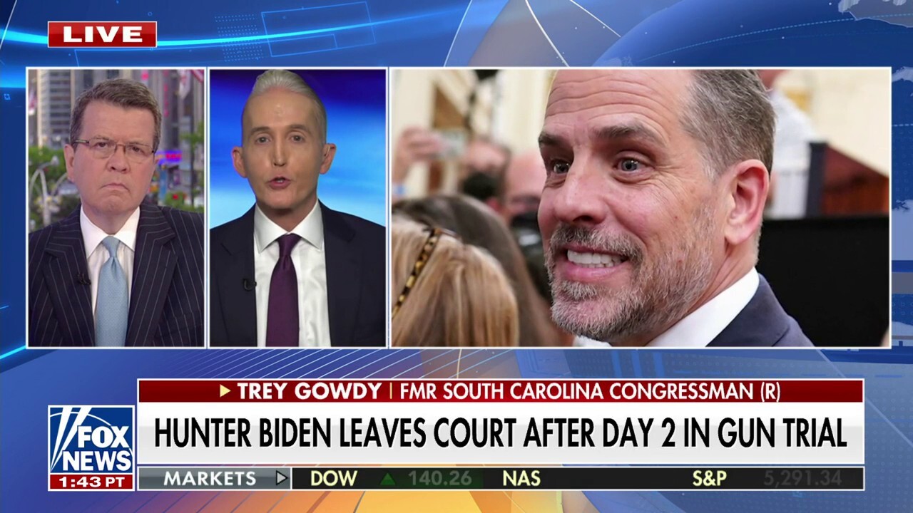 Trey Gowdy says you can 'rule this out' in the Hunter Biden gun trial