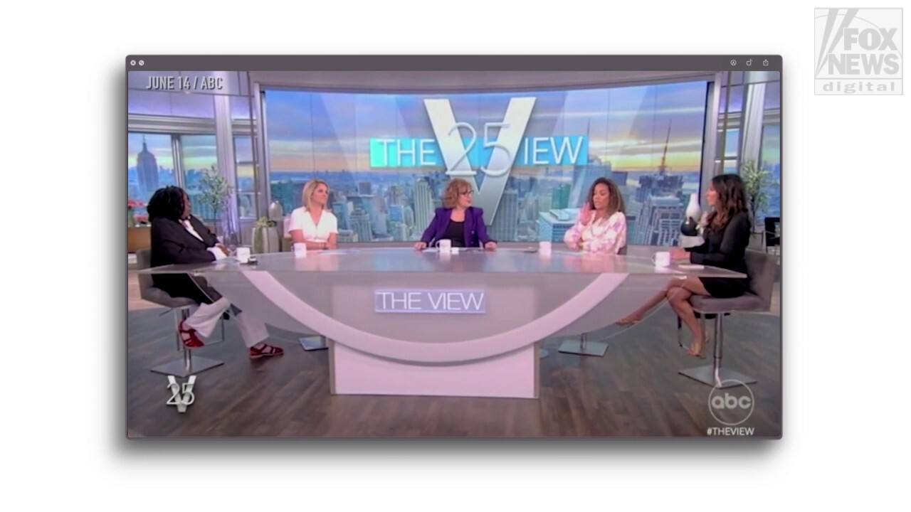 DeSantis didn't know staff declined 'The View' invite, has no interest in 'partisan corporate media'