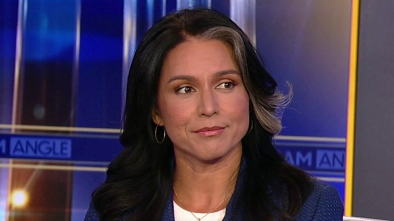 Tulsi Gabbard: Dems vilify anyone they deem a threat