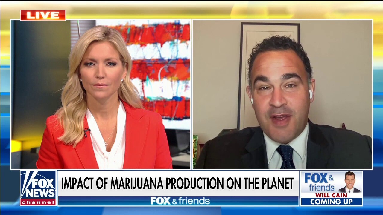 Dr. Kevin Sabet: Cannabis industry causing ‘huge' environmental problems