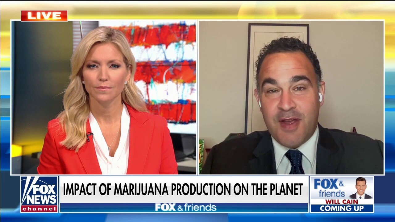 Dr. Kevin Sabet: Cannabis industry causing ‘huge problems’ for environment