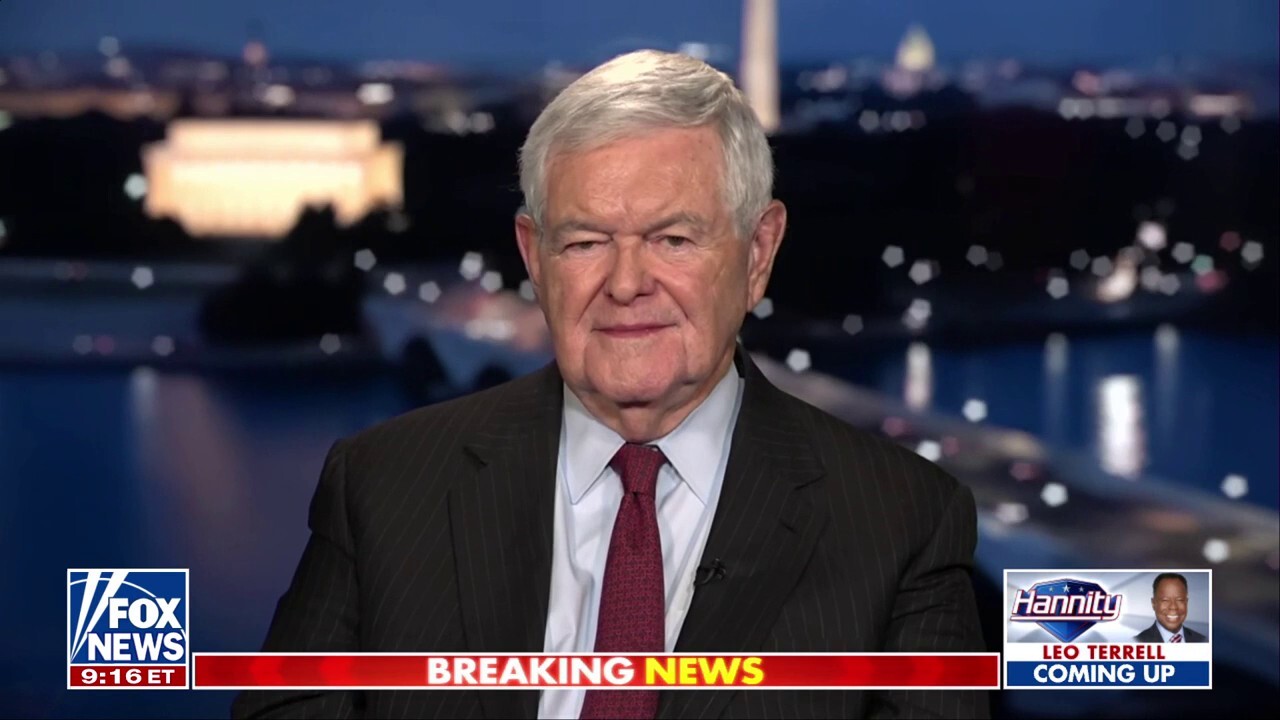 Dems are ‘enraged’ and have ‘no solutions,’ says Newt Gingrich