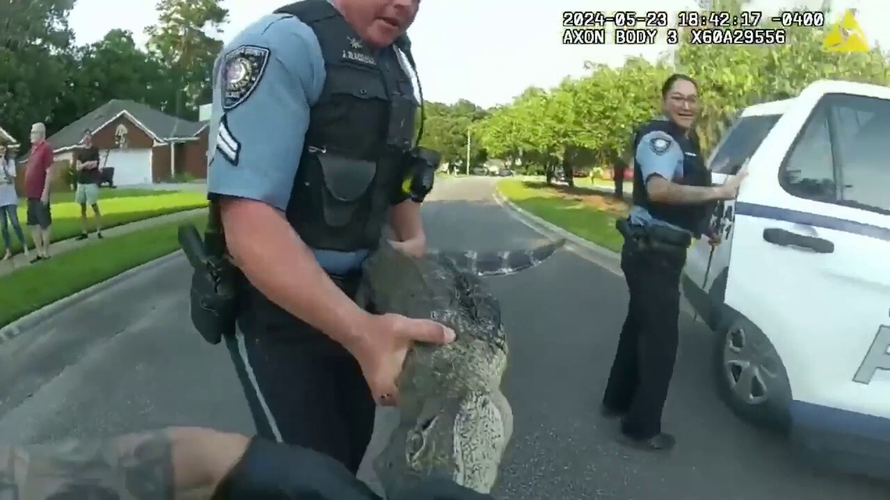 Алигатор от Джорджия беше арестуван и натоварен в полицейска кола