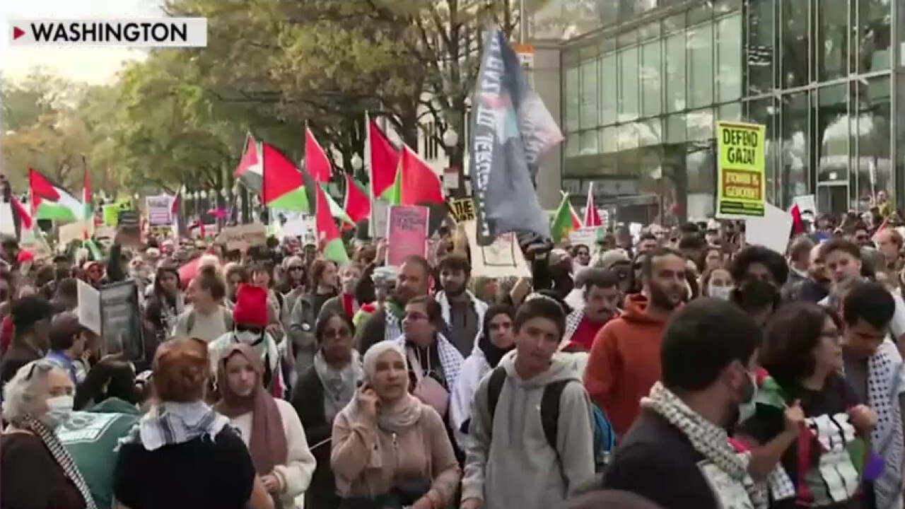 Pro-Palestinian protesters slam Israel's war on Hamas at rally in Washington DC 
