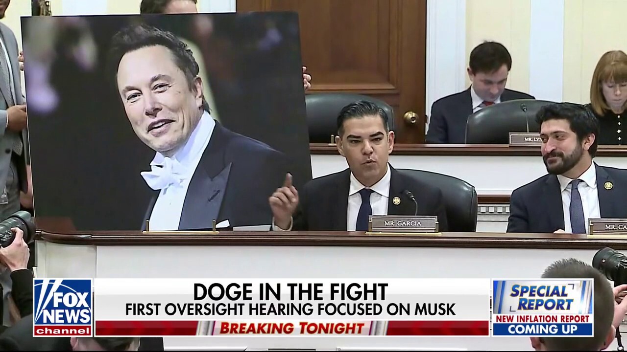 House Democrats take aim at Elon Musk during first DOGE subcommittee hearing