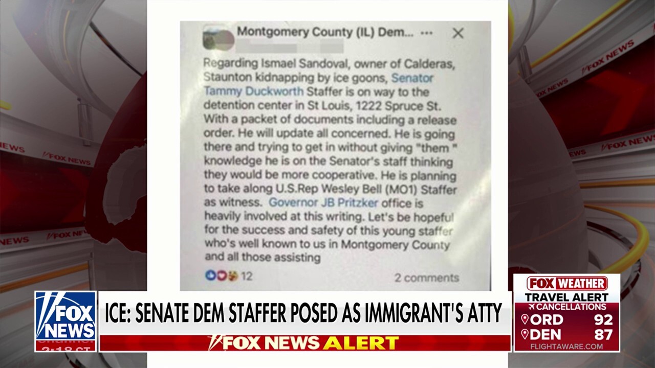 Senate Democratic staffer accused of misrepresenting himself as a lawyer to free an illegal immigrant