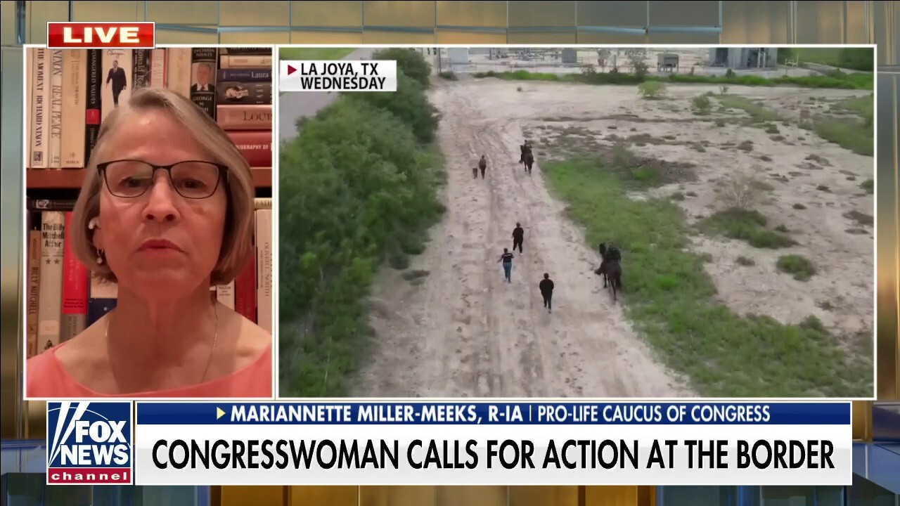 Iowa congresswoman calls for action at border 